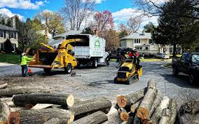 Best Tree Mulching  in Ventnor City, NJ